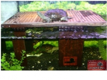 AS-Wasserschildkröteninsel Sabine L50xB32xH30 cm + Eiablagebox 22 L & Plattformeinsatz